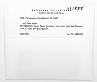 Image Associated With the Occurence